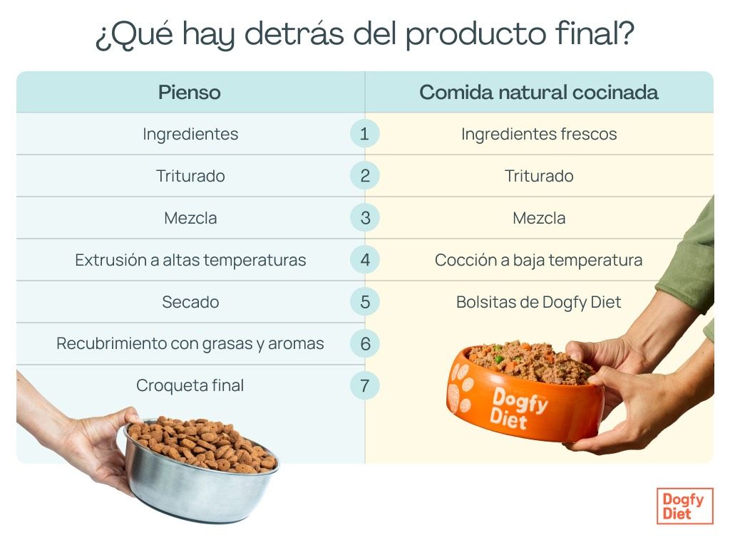 Pasos de fabricación del pienso vs de la comida natural cocinada Dogfy