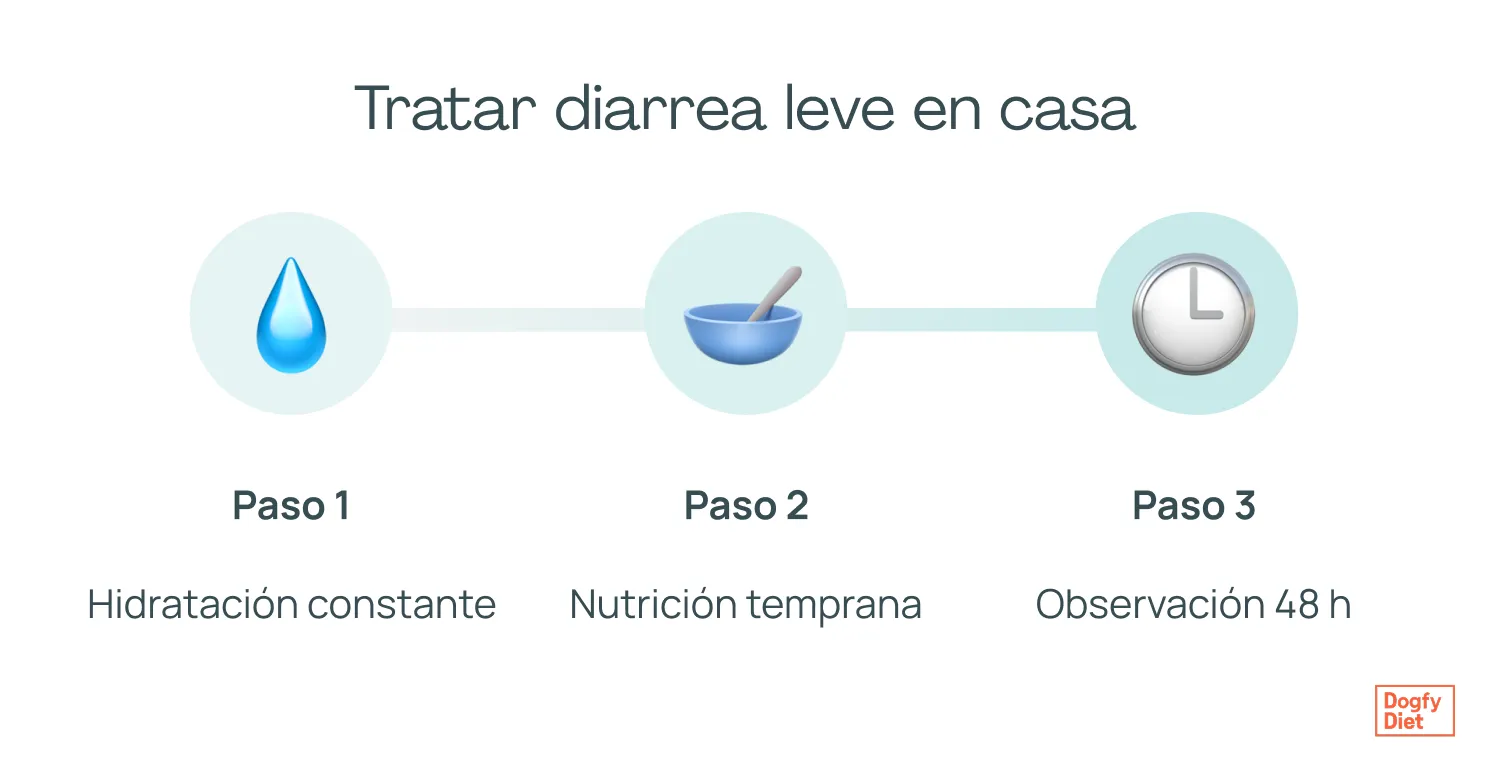 3 pasos clave para tratar la diarrea leve en casa