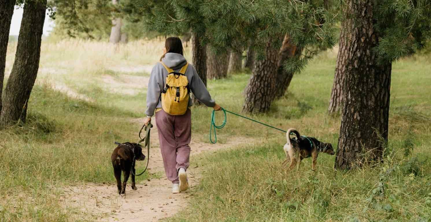 Top 20 percorsi di trekking con cani in Italia
