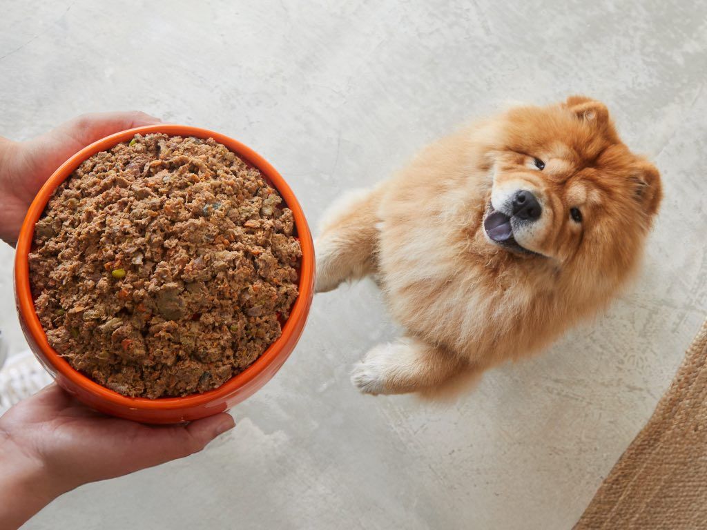 Warum frisch gekochtes Hundefutter die beste Wahl ist