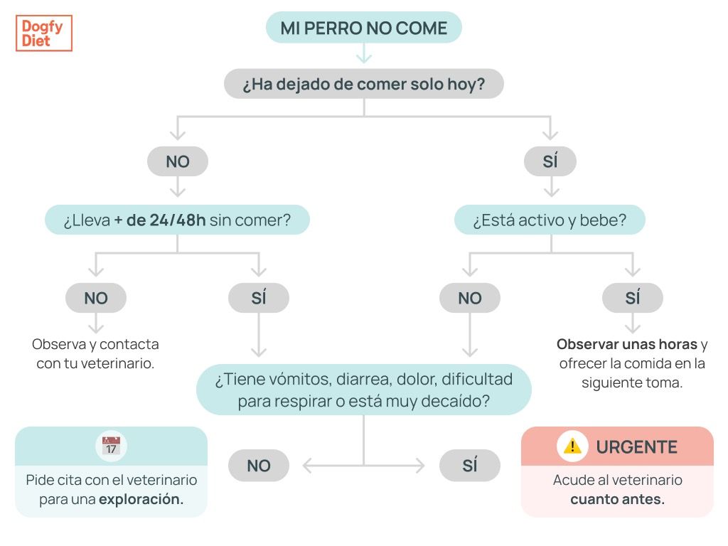 Diagrama para valorar cuando debemos llevar a un perro que no come a urgencias