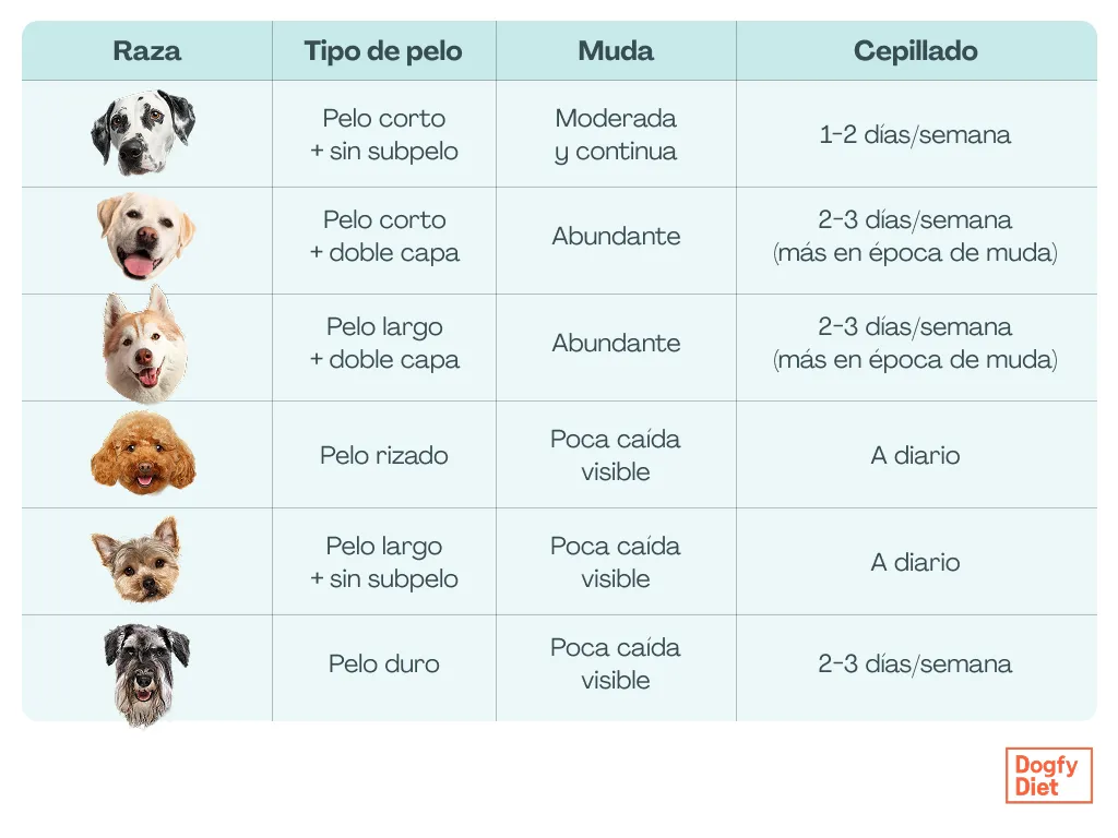 Tabla para el cuidado del pelo según la raza canina