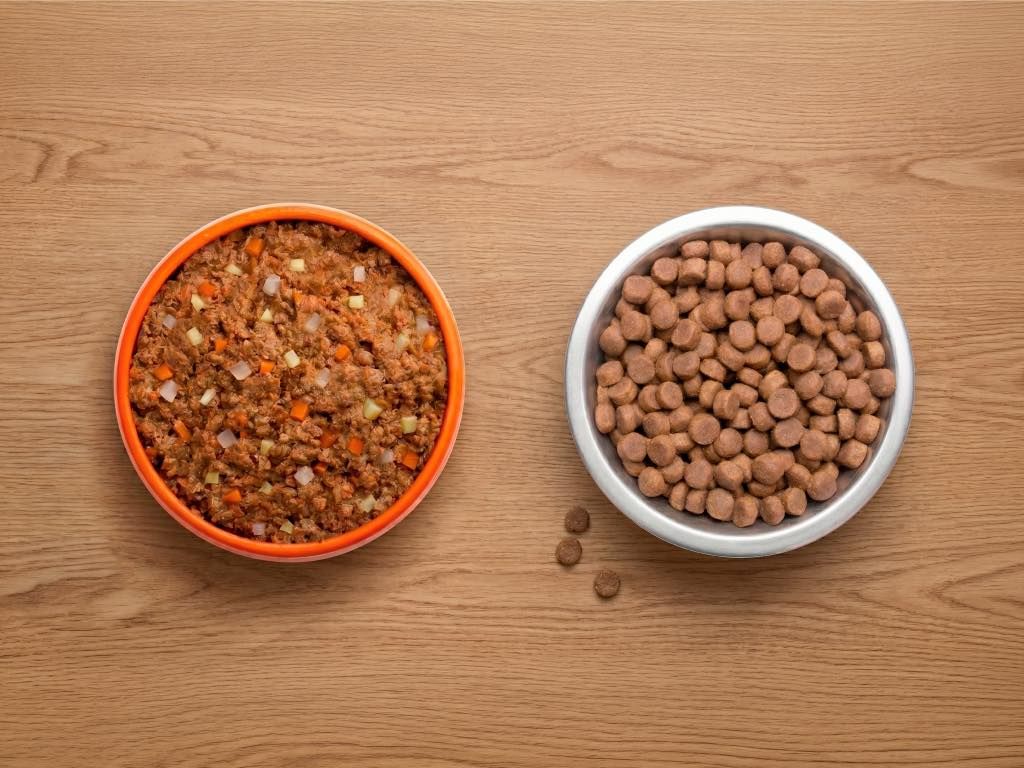 Trockenfutter oder natürliches Hundefutter: Was ist besser?