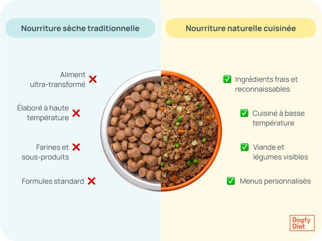 Comparatif entre croquettes traditionnelles et nourriture naturelle cuisinée