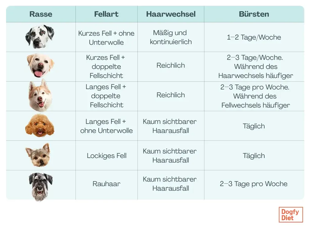 Tabelle zur Fellpflege je nach Hunderasse
